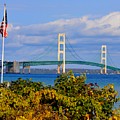 Autumn Bridge