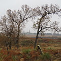 Holy Cross Shrine in the Distance
